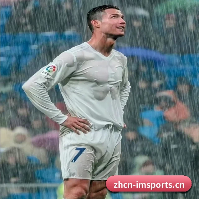IM体育 APP 界面
